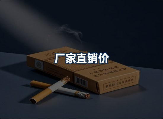 专业团队办公环境